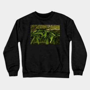 Cute wild plants Crewneck Sweatshirt